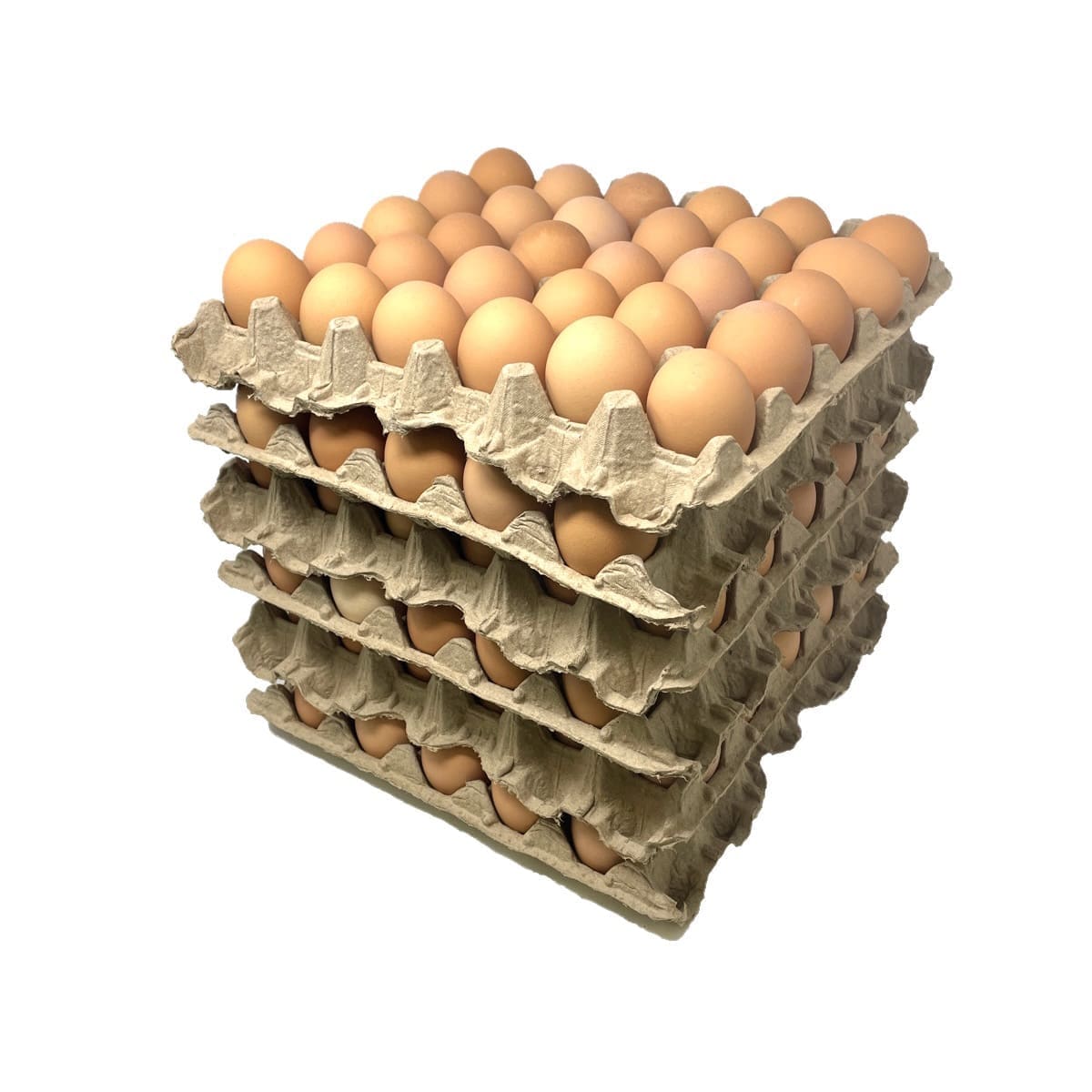 Large Brown Eggs (180 count)